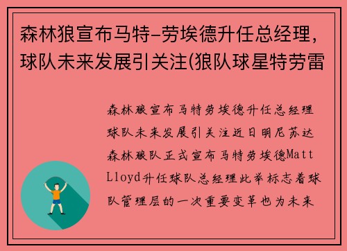 森林狼宣布马特-劳埃德升任总经理，球队未来发展引关注(狼队球星特劳雷)